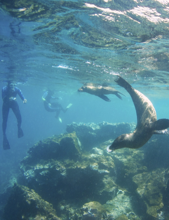 Ecuador / Islas Galápagos