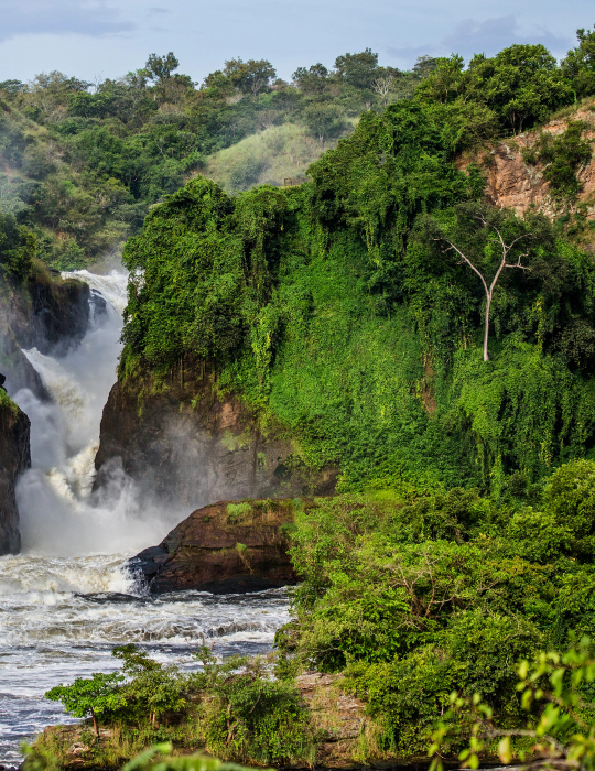 Uganda